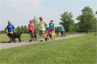 training pic 15 - pack walk